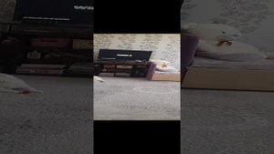 1000001658.mp4