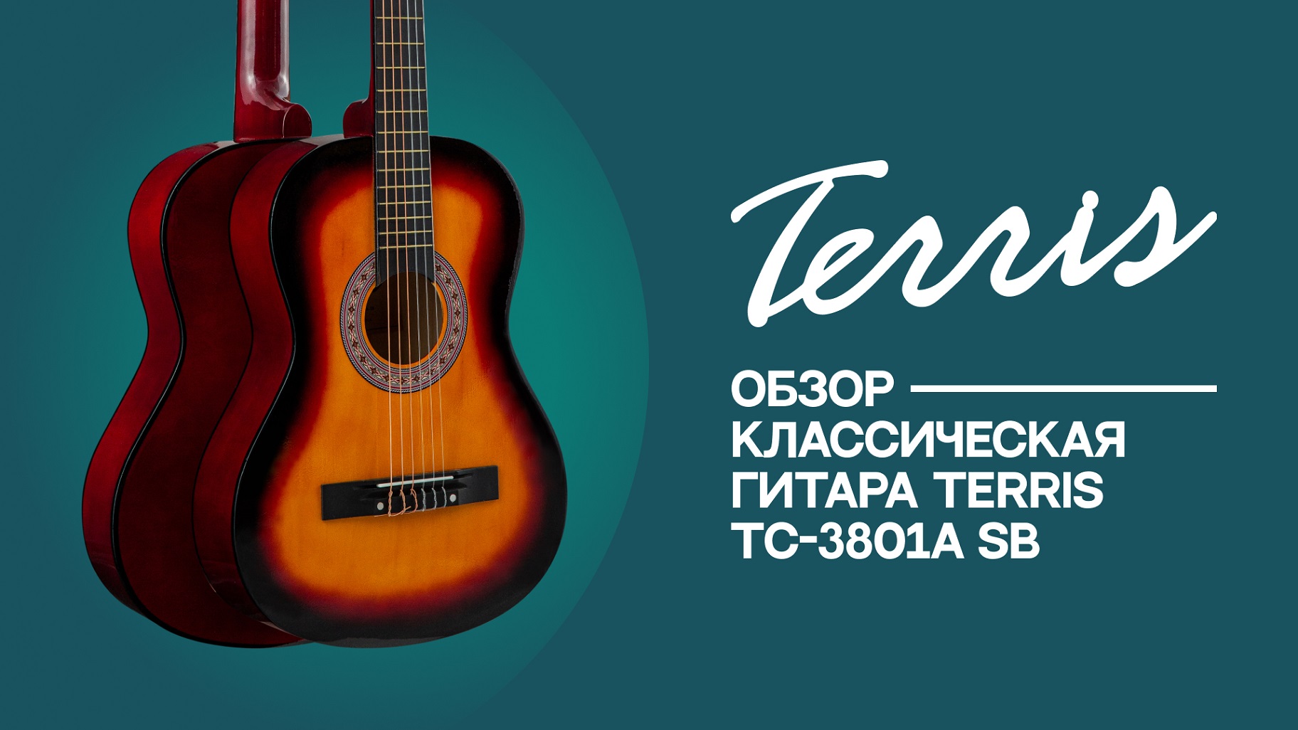 Обзор классической гитары TERRIS TC-3801A SB