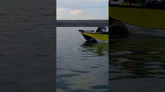 лодка воронеж и тохацу 18 смотреть онлайн