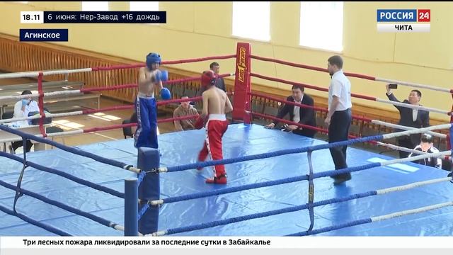 Матчевая встреча по кикбоксингу и тайскому боксу памяти Норполова состоялась в Агинском смотреть онлайн