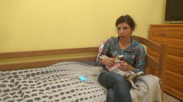 Как сохранить помидоры на зиму долго свежими к Новому году Хранение помидоров в домашних условиях смотреть онлайн