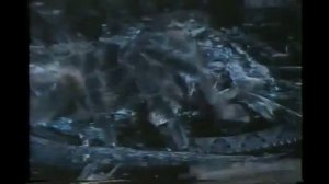 Тарантул против одной из самых страшных Змей   Великий Бой  чтобы выжить #33;