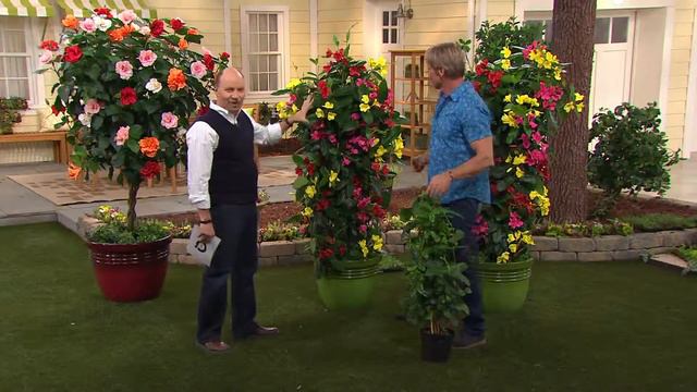 Cottage Farms Tricolor Trumpet Vine with Sandra Bennett смотреть онлайн