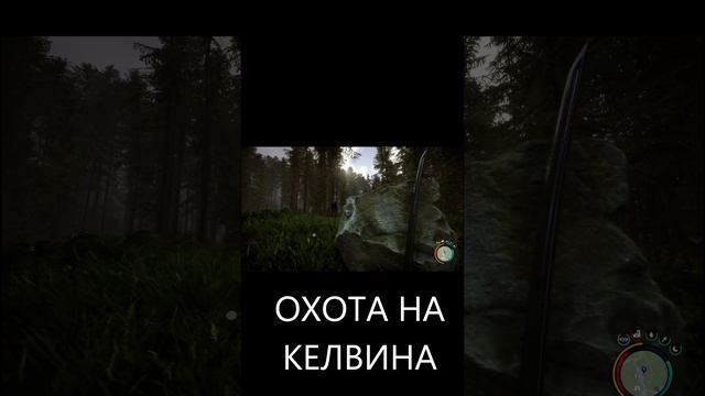 охота на Келвина sons of the forest