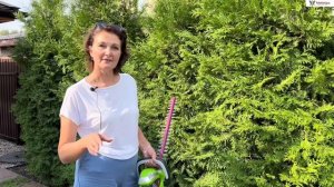СТРИЖЁМ ТУИ в саду заказчика. Стрижка хвойных АККУМУЛЯТОРНЫМИ НОЖНИЦАМИ.