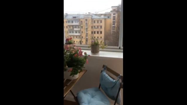 Отзыв нашего клиента. Ремонт и отделка квартиры "под ключ". Проект #скандинавскийстиль