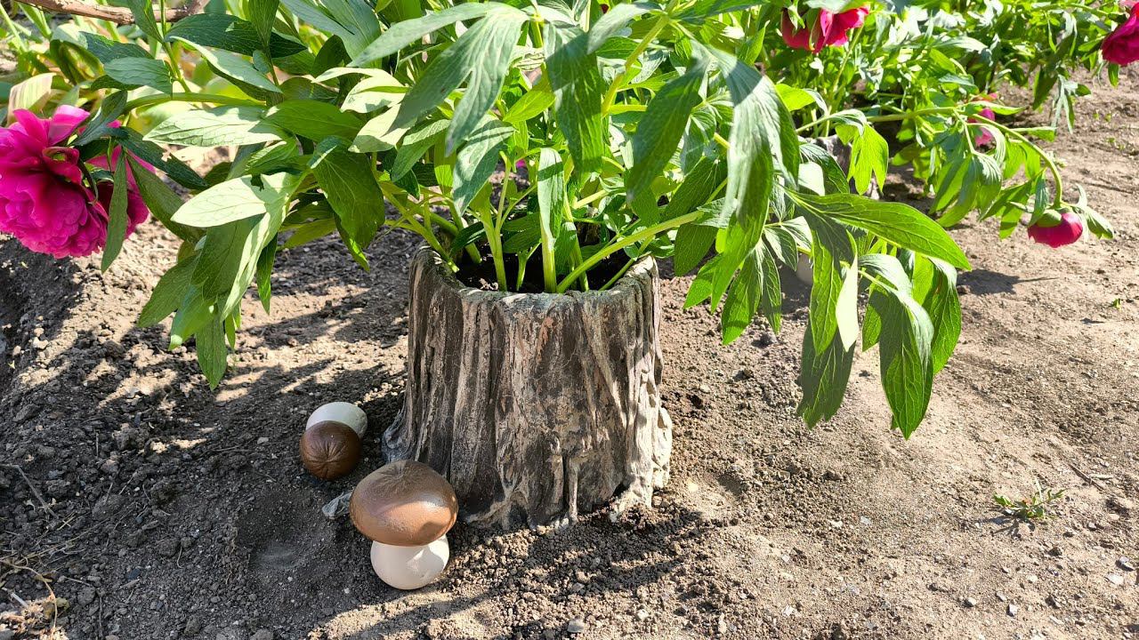 Кашпо пенечки из старого ведра/  тряпки/ цемент/ смотреть до конца/ отвечаю на ? смотреть онлайн