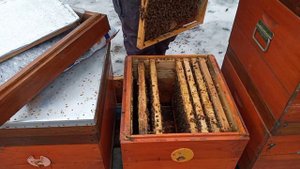 Первые Работы После Облёта.Паника Была Лишней.