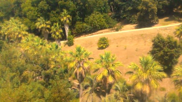 Канатная дорога в Сочи. Здорово прокатились. смотреть онлайн