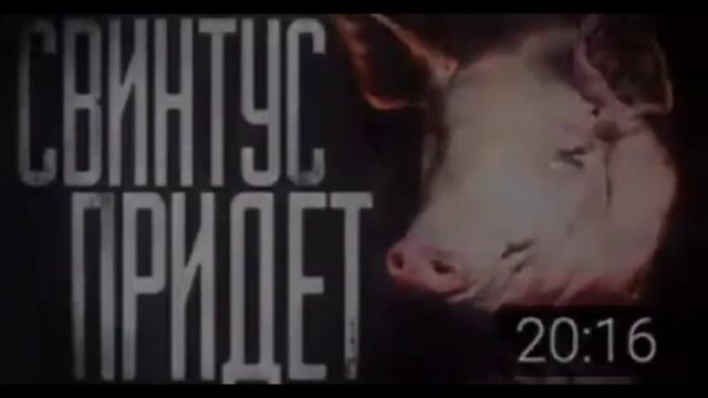 Свинтус придёт... смотреть онлайн