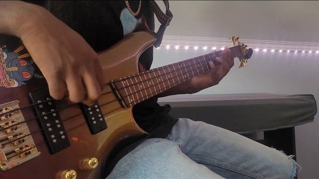 Supermassive black hole By Muse| Bass Cover смотреть онлайн