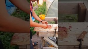 Доска для разделки рыбы. Разделка окуня по хребту