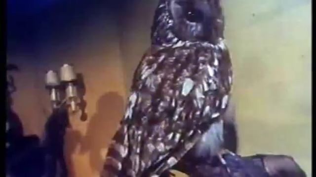 Kill Kill Kill by the Painters & Dockers - Get Smart смотреть онлайн