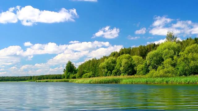 2 Hrs of Calm River Bank Ambience | Nature for Study, Work, and Meditation смотреть онлайн