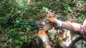 #грибы#ингадивная#поиск                ❗️ИЩЕМ ГРИБЫ МЕТАЛЛОИСКАТЕЛЕМ❗️ТИХАЯ ОХОТА❗️ПОИСК СОКРОВИЩ❗️