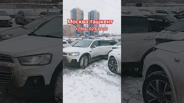 Москва узбекстан такси санкт-петербург узбекстан такси