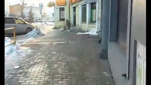 Гуляем по городу Еленя Гура смотреть онлайн