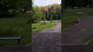 🐗 Семейство кабанчиков заметили в Мытищах, Московской области