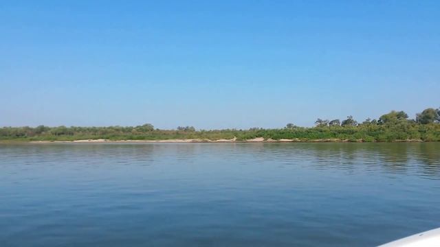 Неман 450 Open + Honda BF50 на р. Томь смотреть онлайн