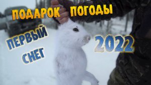 Первый снег 2022 / Охота на зайца 2022 / Тропление зайца 2022