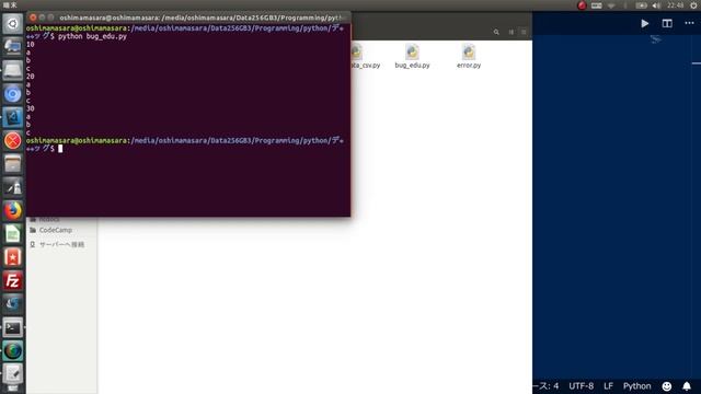 Python Debug Demo
