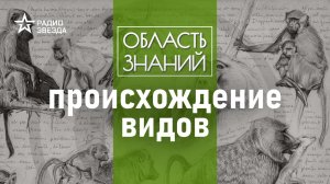 Какие заблуждения приписаны Чарльзу Дарвину? Лекция антрополога Елены Судариковой.