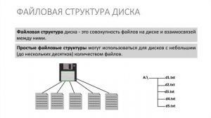 7 класс. Информатика. Файлы и каталоги папки