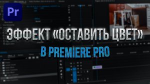 Как оставить один Цвет на видео в Premiere Pro