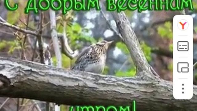 Доброе утро-ведьма речка смотреть онлайн