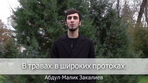 Любите Россию Станислав Мостовой