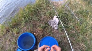 РЫБАЛКА с НОЧЁВКОЙ в СЕНТЯБРЕ.КОРМАКИ.КАРАСЬ и МАСТЫРКА