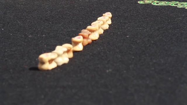 Спорт наших предков. "Шагай наадан" смотреть онлайн