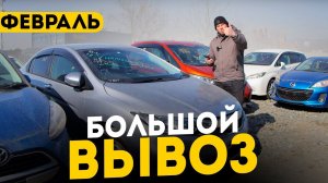 БОЛЬШОЙ ВЫВОЗ ФЕВРАЛЬ ❗️  HONDA, TOYOTA, VOLKSWAGEN, BMW И MERCEDES❗️ ЦЕНЫ ФЕВРАЛЯ 2024