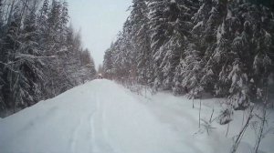 Покатушки На Питбайке Зимой, Погоня От Собак.