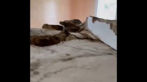 Демонтаж русской печи