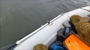 Судак в отвес на Ратлины. Волга.
