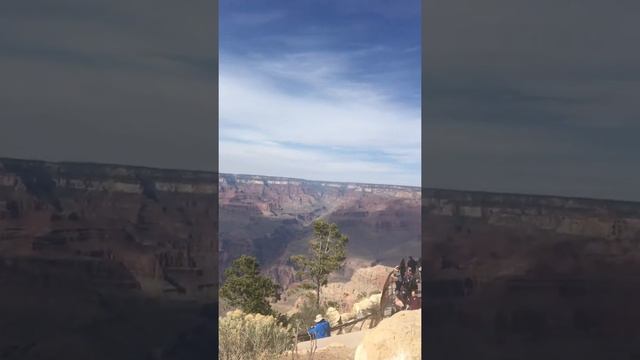 GRAND CANYON AMAZING VIEW | Getting To See The Grand Canyon | Arizona Grand Canyon | #Shorts