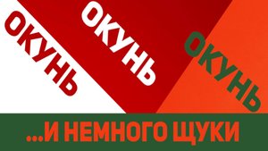 Голодный ОКУНЬ и ЩУКА-воровка. МИКРОДЖИГ у Оби.