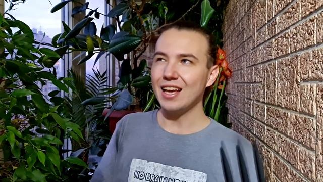 ЦВЕТОЧНЫЙ МАРАФОН | HOBBYSAD | ЗИМНЕЕ тестирование СЕМЯН от АГРОХОЛДИНГ ПОИСК.mp4