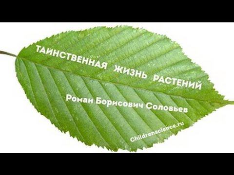 Таинственная жизнь растений. Выпуск 1