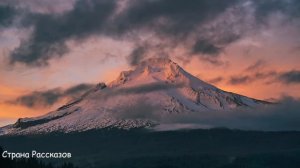 Муж вернулся с длительной командировки и заметил что его жена зачастила ходить в погреб, а проследи