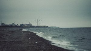 Сохраним лососей вместе, Камчатский край