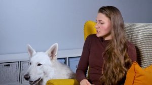 10 вопросов о БЕЛОЙ ШВЕЙЦАРСКОЙ ОВЧАРКЕ