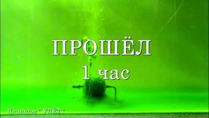 Технопланктон " УЛЁТ " ДОННЫЙ ГЕЙЗЕР (2 часа)