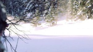 Frozen Moto snowbike KIT snowbikekit.ru