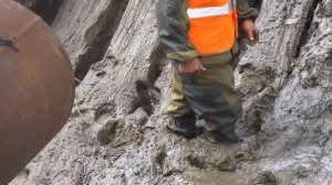 Тонущий в болоте)))