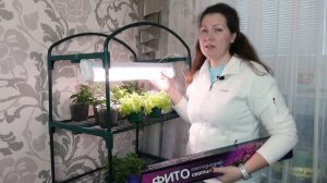 Самый лучший недорогой  фитосветильник для самой , крепкой и здоровой рассады. Яркон.
