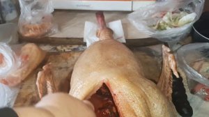 Вес гусёнка линда в пять месяцев.