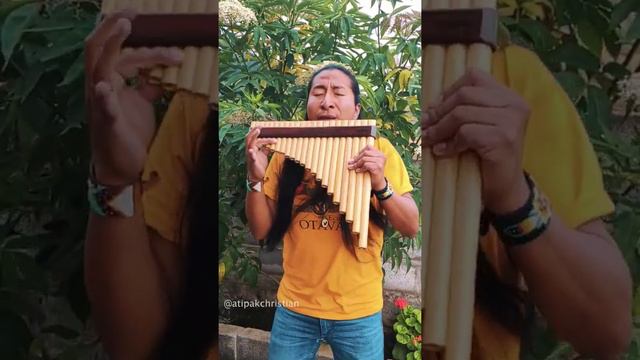 Jeanette - ¿Porque te vas? [Pan Flute]