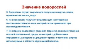 Протисты. Тема 8. Присп. водорослей к среде обитания. Значение водорослей в природе и жизни человек